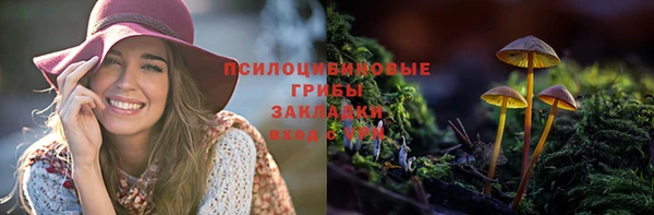 не бодяженный Приозерск