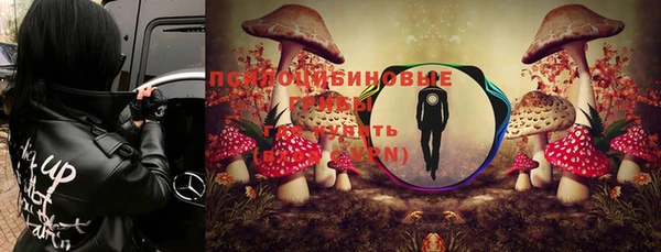хмурый Пролетарск